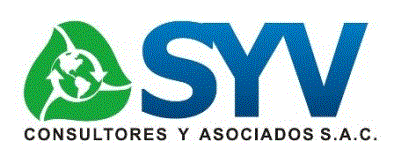 SYV Consultores y Asociados
